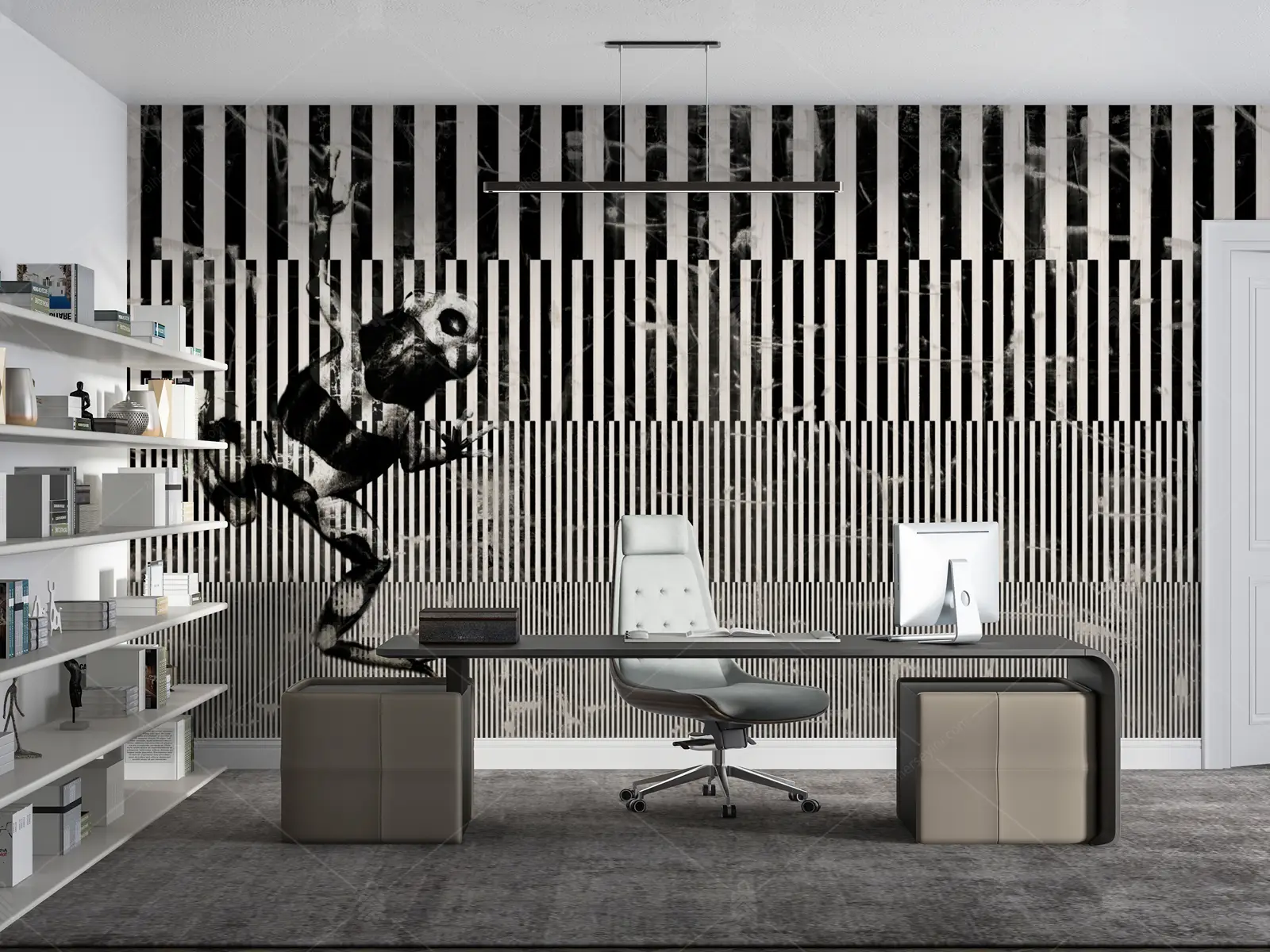 GRP220099 Siyah Beyaz Kurbağa Poster Duvar Kağıdı