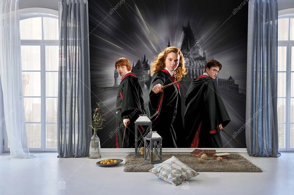 WB-2087-kids-room-poster-mural-wallpaper-harry-potter-Warner-Bros-Cocuk-Odasi-Poster-Duvar-Kagidi-Adakids 2087 Warner Bros Harry Potter Çocuk Odası Duvar Posteri Uygulama