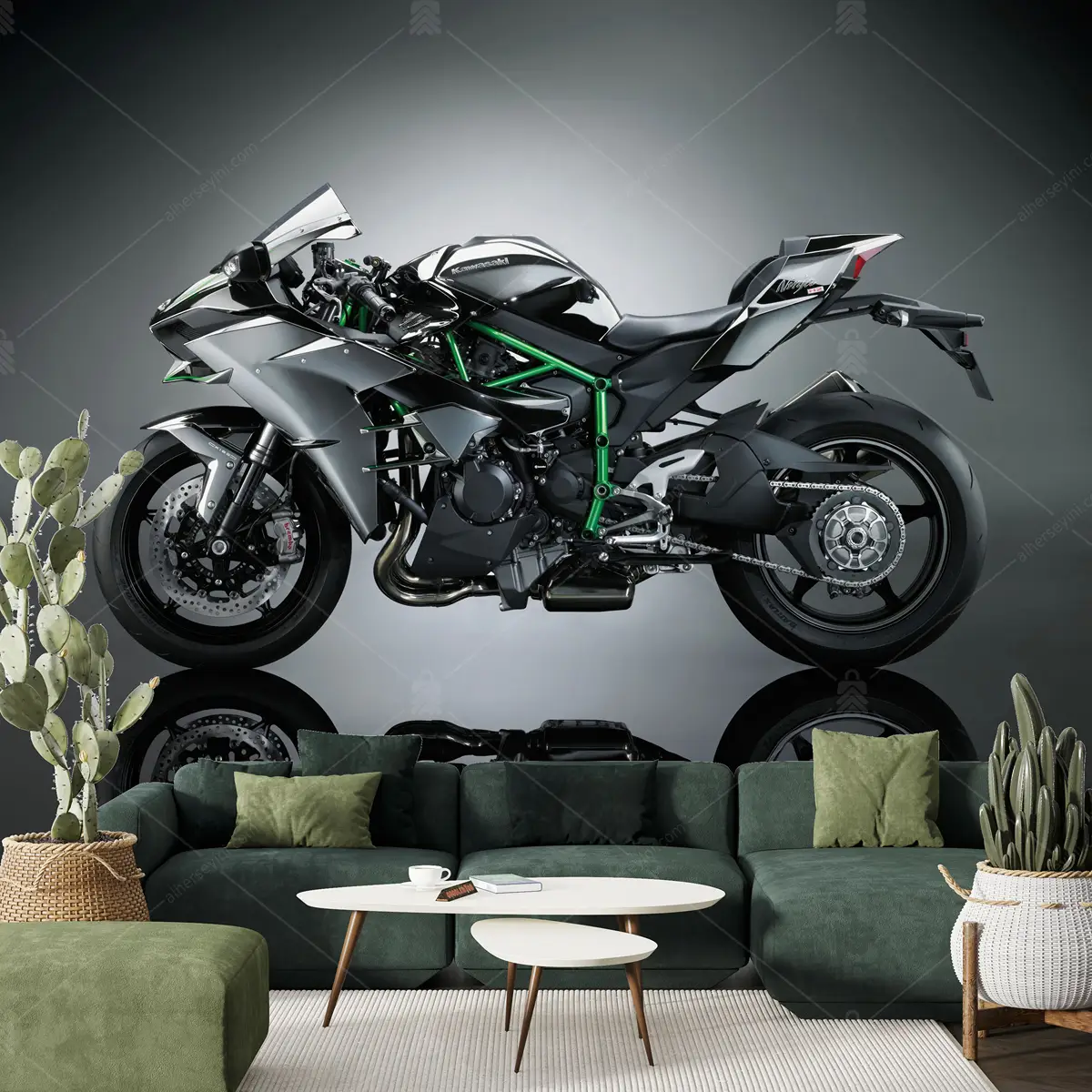 GRP660038 Kawasaki Ninja Motosiklet Poster Duvar Kağıdı
