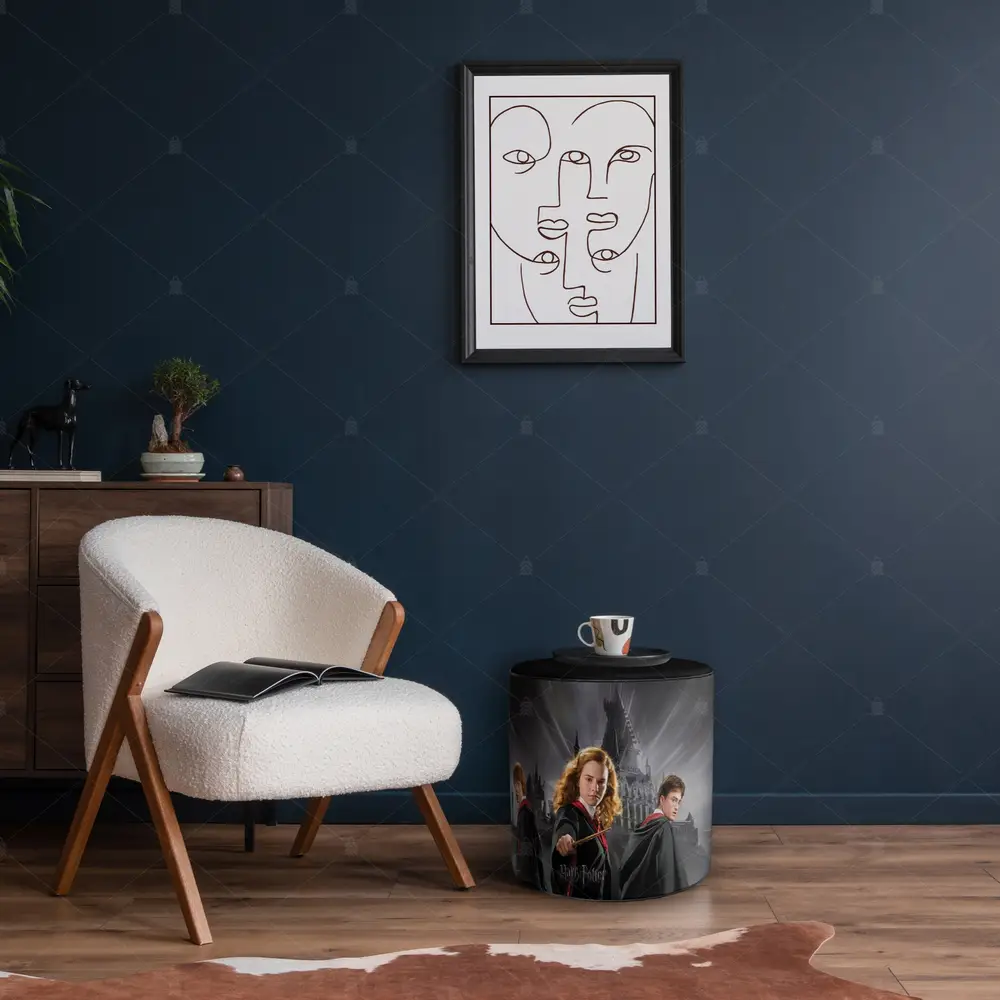 Harry Potter Desen Puf Koltuk PUF340